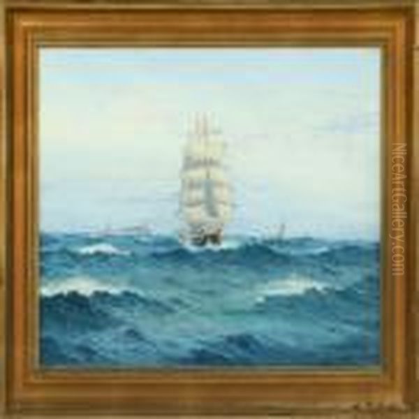 Sailing Ship Atskagen Reef - view 1