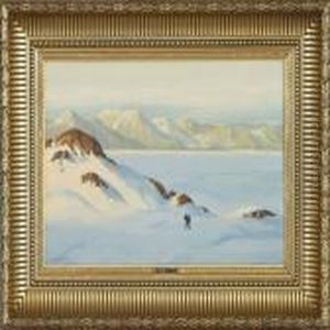 View Fromgreenland