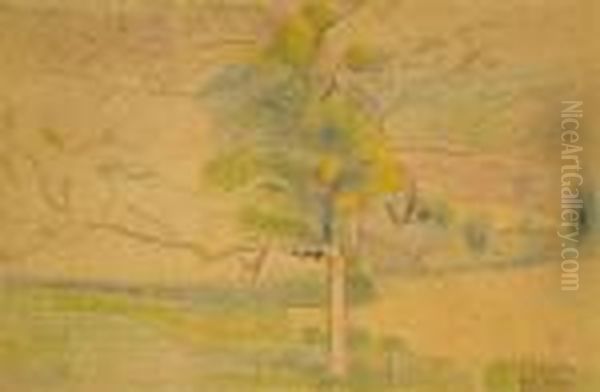 Etude D'arbre - view 1