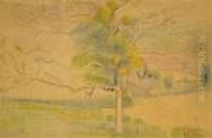 Etude D'arbre by Hippolyte Petitjean