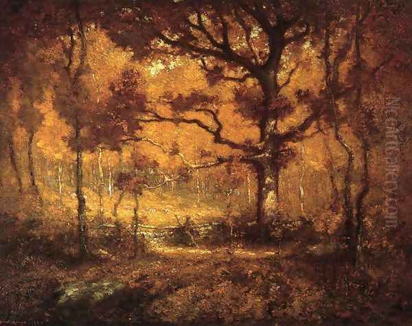 Autumn Woodlands - view 1