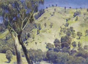 Dandenongs Landscape by Thomas William Roberts