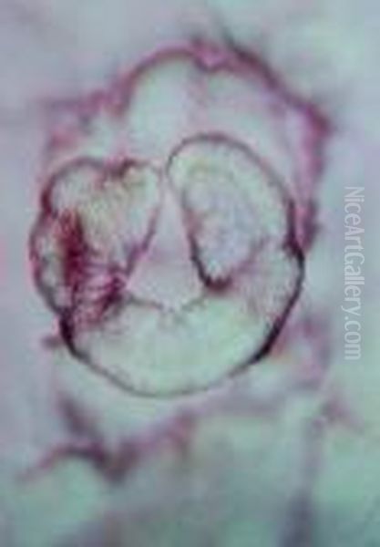 Composition Rose - view 1