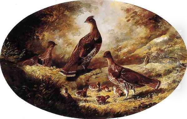 Grouse Family - view 1