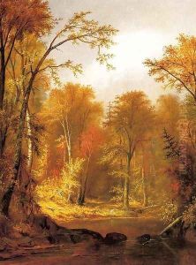 The Moose River
