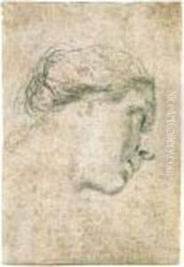 Testa Di Donna ( Recto ); Testa Di Giovane Uomo ( Verso ) by Giovanni Battista Piazzetta