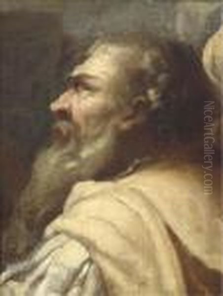 Study Of A Bearded Man In Profile - view 1
