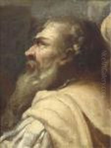 Study Of A Bearded Man In Profile by Giovanni Battista Piazzetta