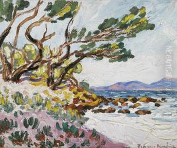 L'ile Sainte Marguerite - view 1