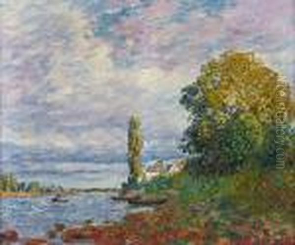 Effet De Soleil Sur Les Bords Du Loing - view 1
