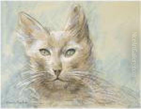 Tete De Chat - view 1