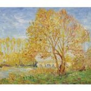 Effet D'automne Dans L'yvonne