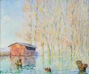L'inondation, Effets De Soleil, Bords De L'yonne