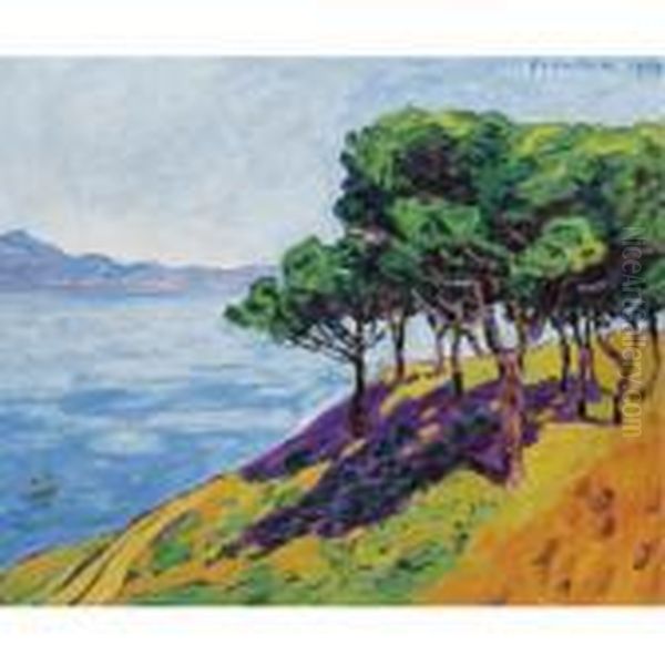 Les Pins, Effet De Soleil, St. Tropez - view 1