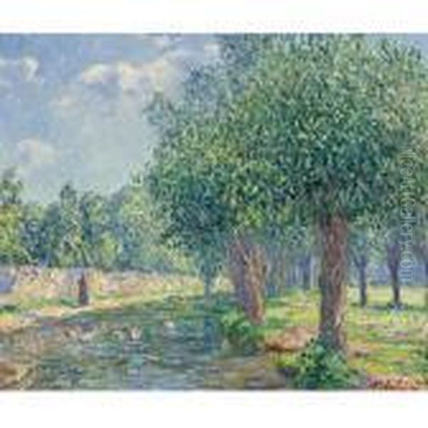 Paysage - view 1