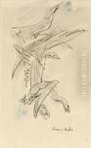 Oiseaux Volant by Francis Picabia