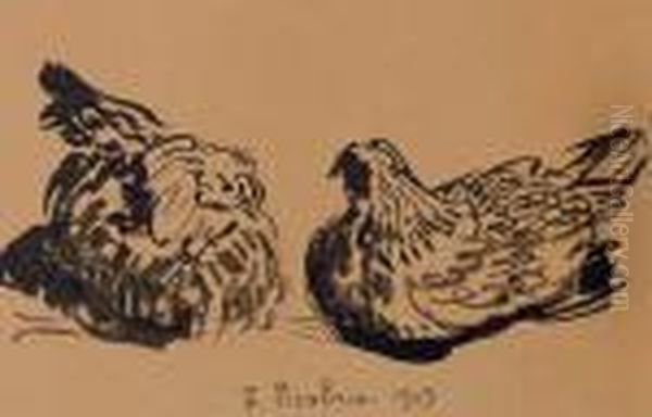 Les Poules - view 1