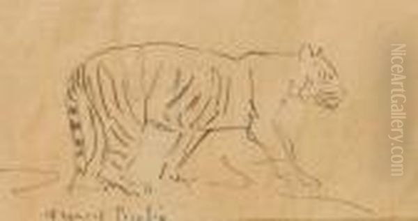 Le Tigre - view 1