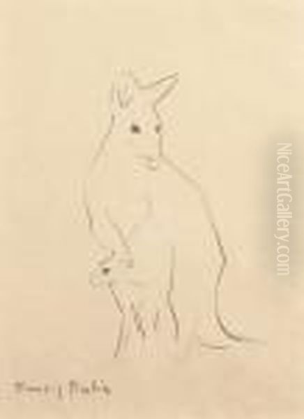 Kangourou Et Son Petit, Circa 1940 - view 1