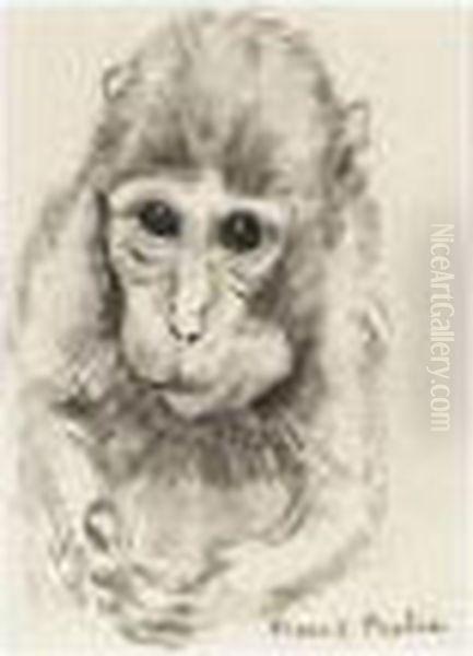 Singe - view 1