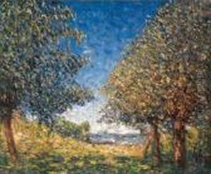 Effet De Soleil Condes by Francis Picabia