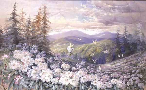 Spring Landscape - view 1