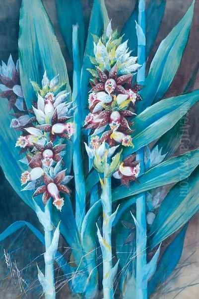 Ginger Plant - view 1