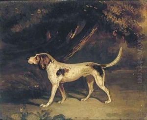 A favourite hound by John Samuel Raven