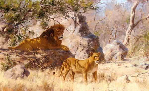 The Lions - view 1