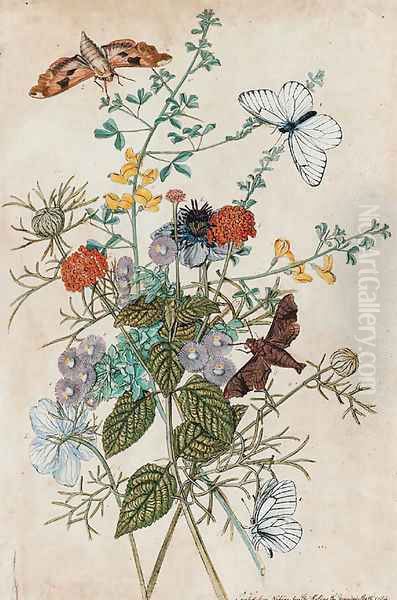 Flowers and butterflies - view 1
