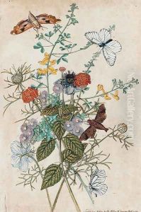 Flowers and butterflies by Thomas Robins