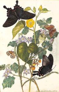 Flowers by Thomas Robins