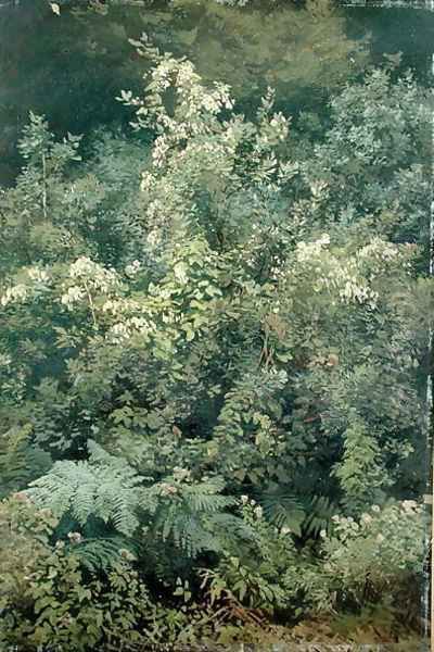 Hops and Ferns in Woodland, 1870 - view 1