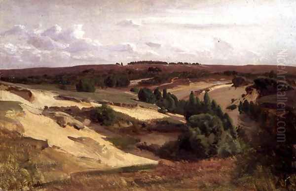 The heath near Bispingen, 1887 - view 1
