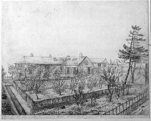 A View of the Orchard at the West of Longwood House on the Island of St. Helena, c.1821 by Captain G. Rotton