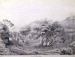 Napoleons Tomb at Longwood on the Island of St. Helena, 1821 Napoleons Tomb at Longwood on the Island of St. Helena, 1821