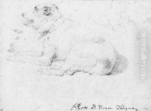 A dog lying down, with a partial subsidiary study of his forequarters in the opposite direction - view 1