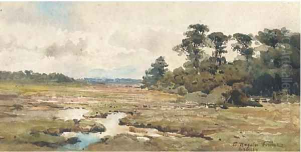 Exbury - view 1