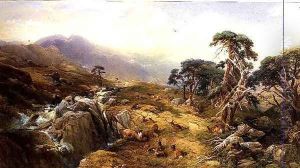 Ben Venue in the Trossachs