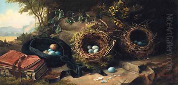 Bird's Eggs and Nests - view 1