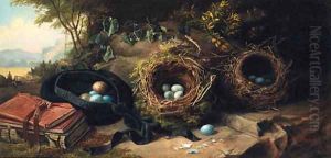 Bird's Eggs and Nests Bird's Eggs and Nests