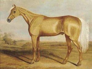 The racehorse Silvertail standing in an extensive landscape The racehorse Silvertail standing in an extensive landscape