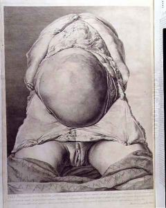 Anatomical drawing of the abdomen of a pregnant female human with skin peeled back, engraved by Francois Simon Ravenet 1706-74 pub. 1774