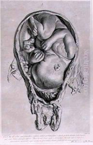 Anatomical drawing of a foetus in the womb, engraved by Francois Simon Ravenet 1706-74 pub. 1774