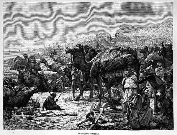 Battle of the Bolsters - view 1