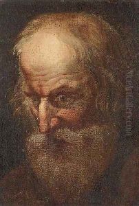 Head of a male Saint