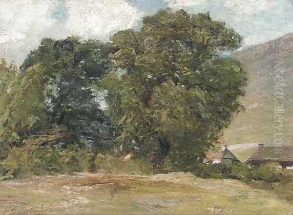 Trees at Mill Mhor, Killin, Perthshire - view 1