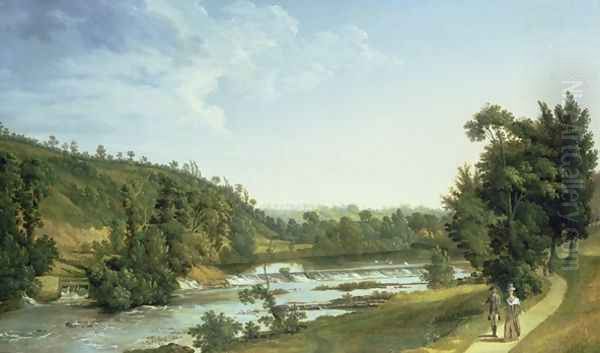 Demesne Weir near Lucan - view 1