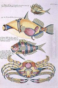 Three Fish and a Crab, plate 34 from Vol 2 of Fish, Crayfish and Crabs, pub. 1754