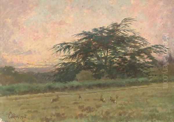Bunnies at dawn, Brocket Hall Park, the Cedar - view 1
